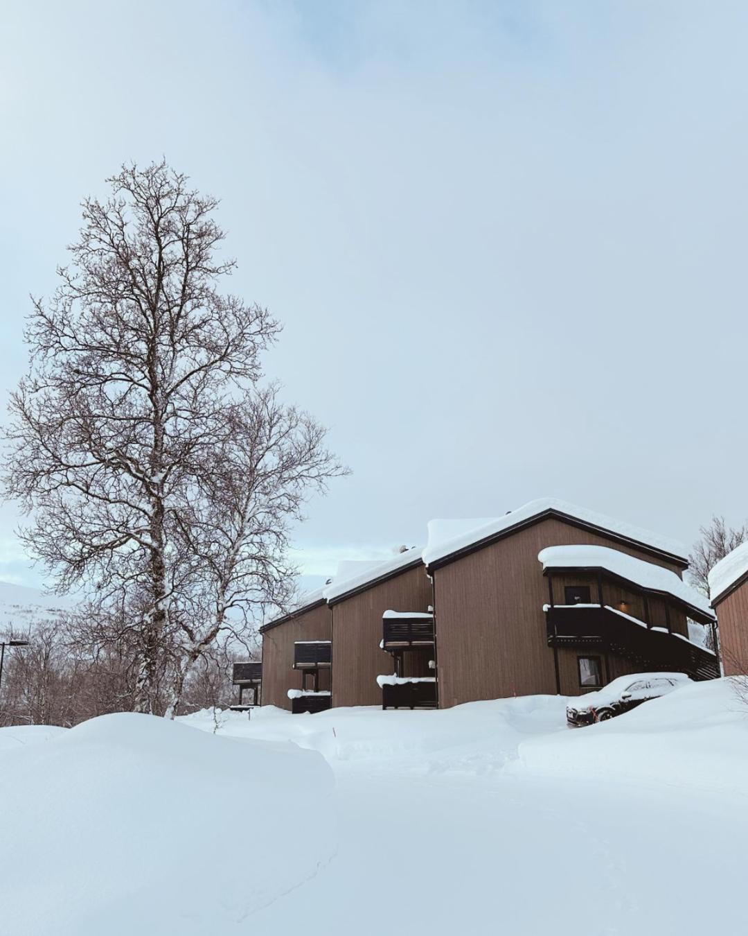 Skaidi Luxury Lodge - Heart Of The Arctic 哈默菲斯特 外观 照片